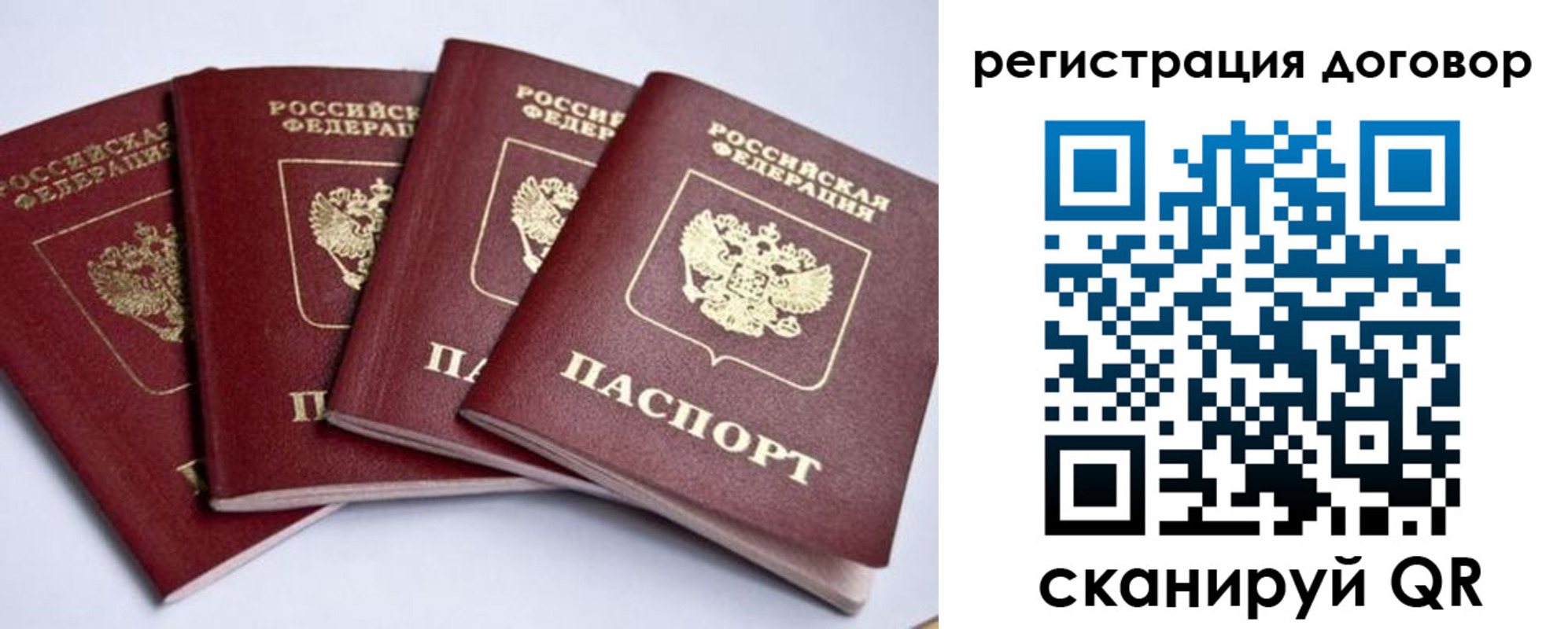 прописка поиск в Бийске
